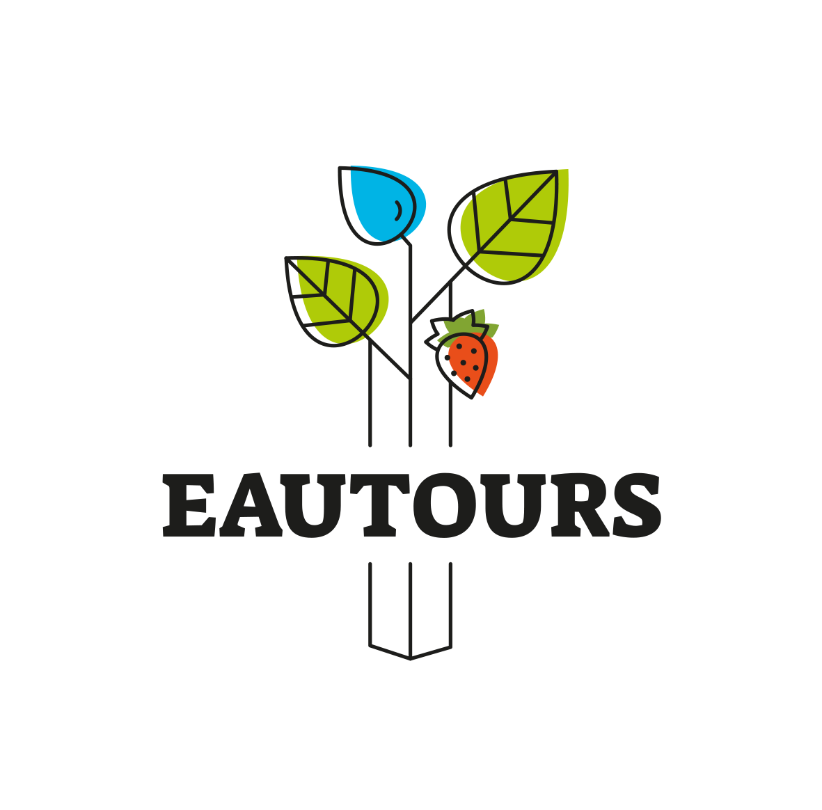 logo-EAUTOURS-couleur